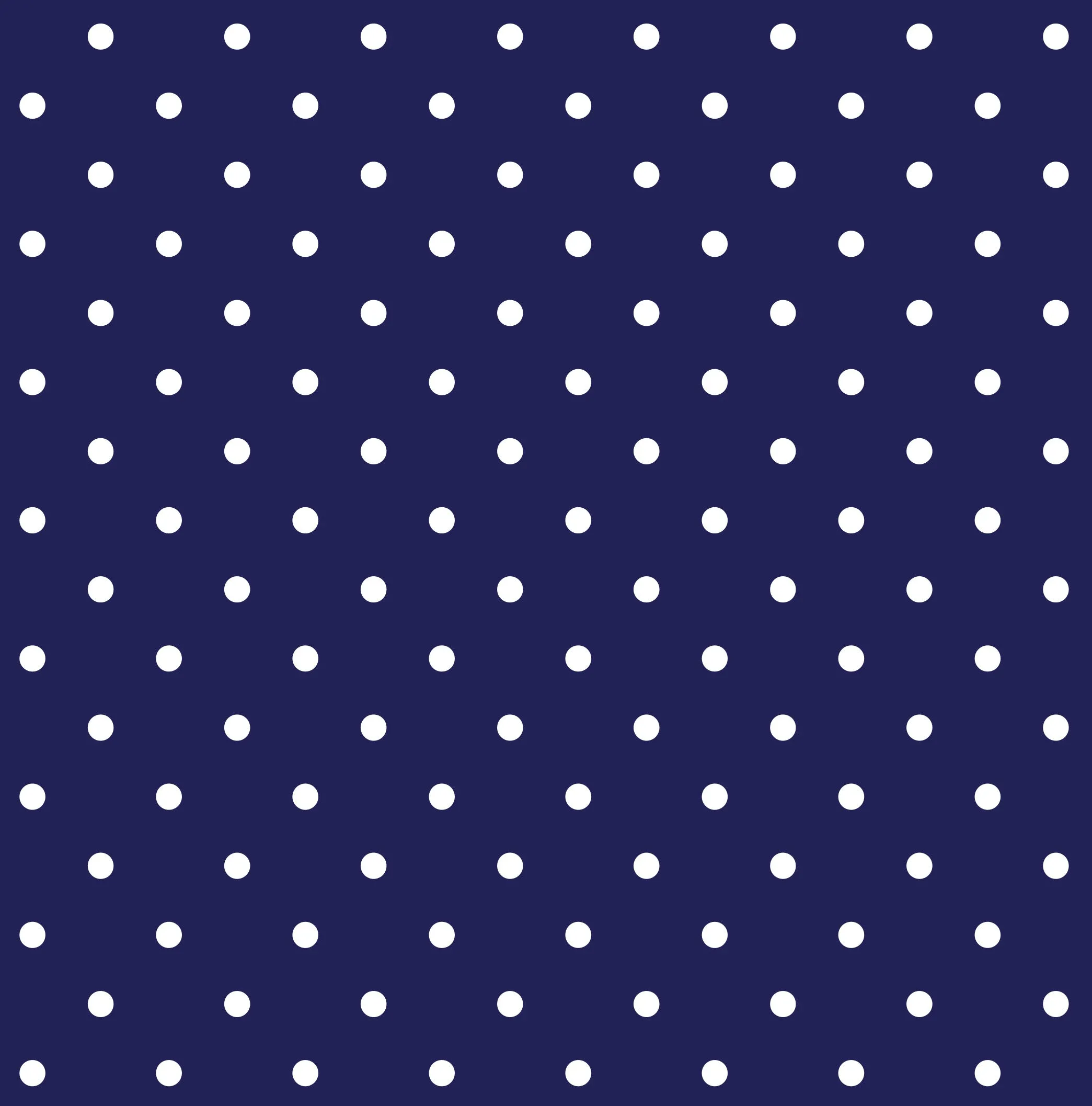 Round Brim - Navy with White Polka Dots